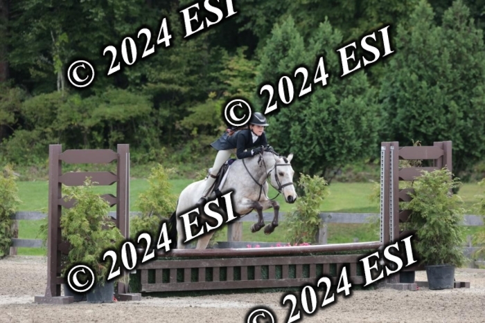 628SC1_3679