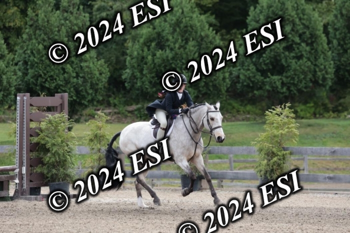 628SC1_3682