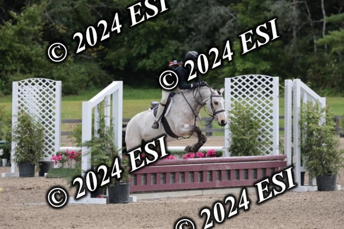 628SC1_3690