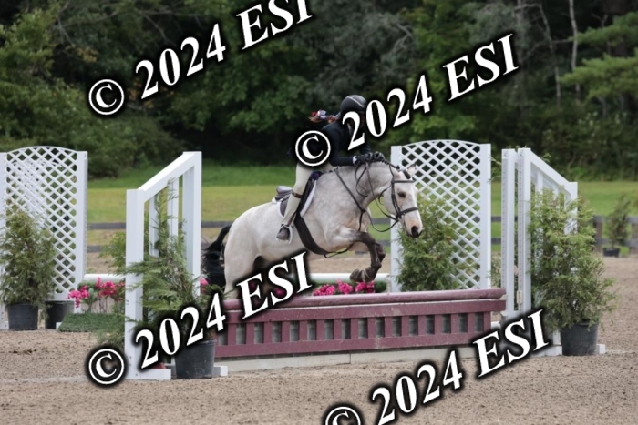 628SC1_3691
