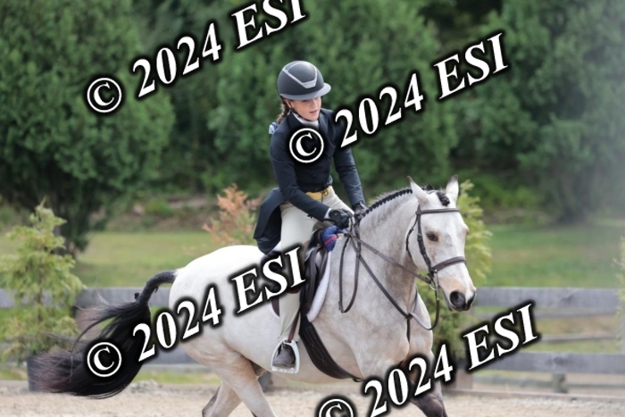 628SC1_3695