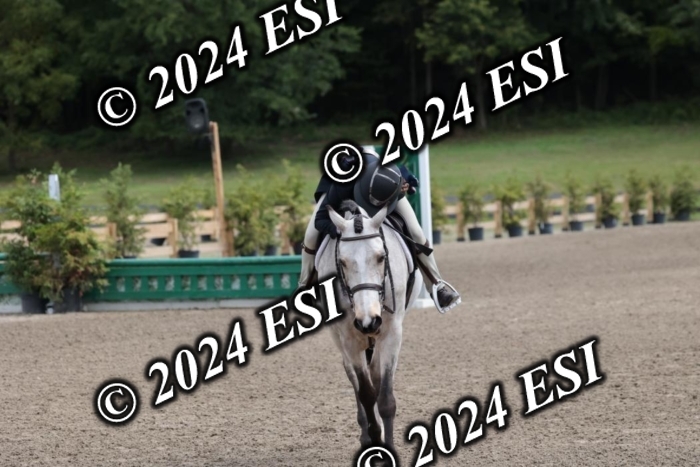 628SC1_3708