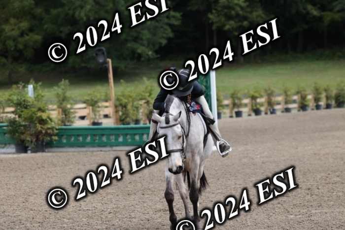 628SC1_3709