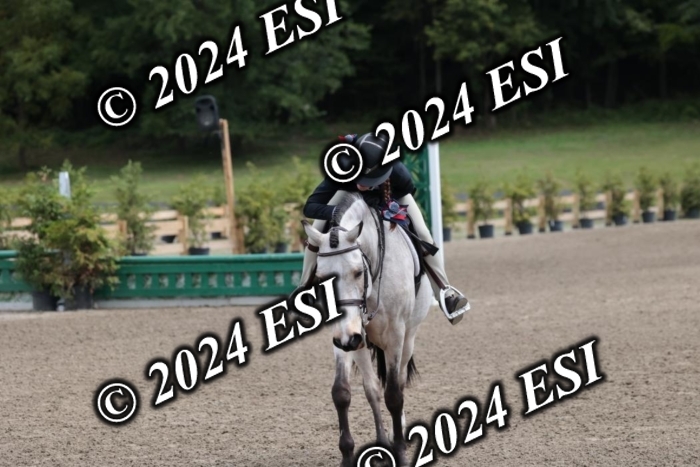 628SC1_3710