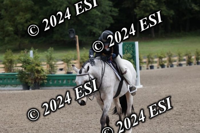 628SC1_3711