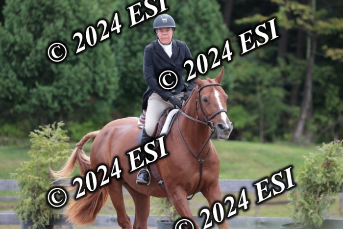 628SC1_3726