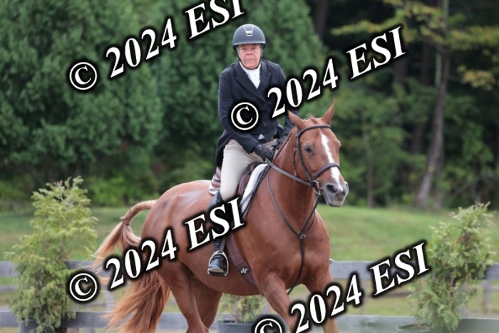 628SC1_3727