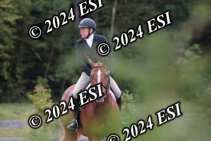 628SC1_3728