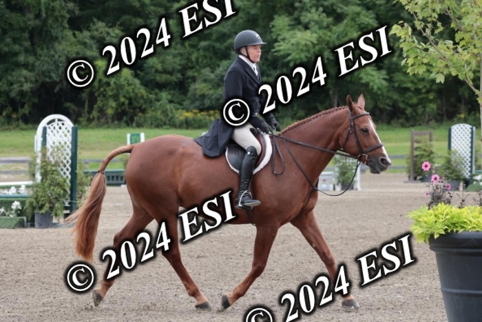 628SC1_3739