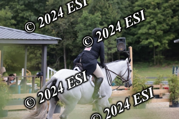 628SC1_3743