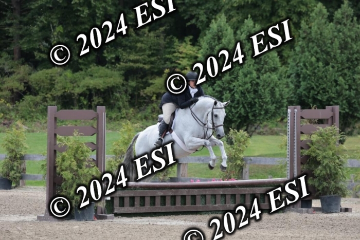 628SC1_3761