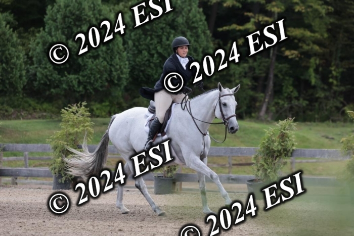 628SC1_3764