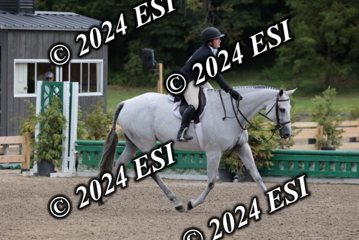 628SC1_3769