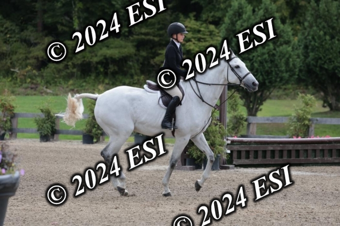 628SC1_3771