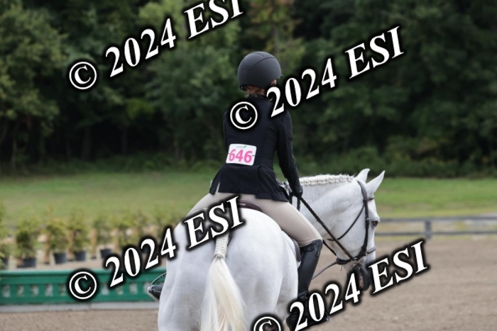 628SC1_3772