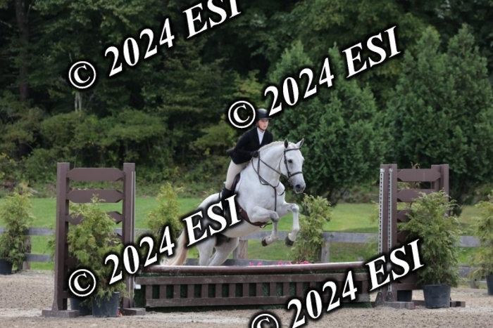 628SC1_3782