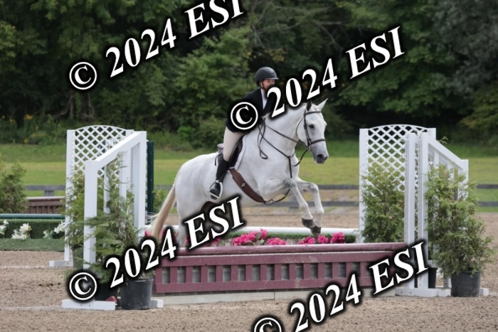 628SC1_3794