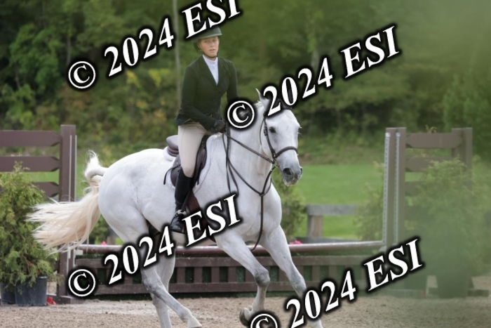 628SC1_3795