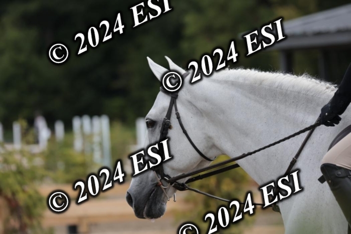 628SC1_3805