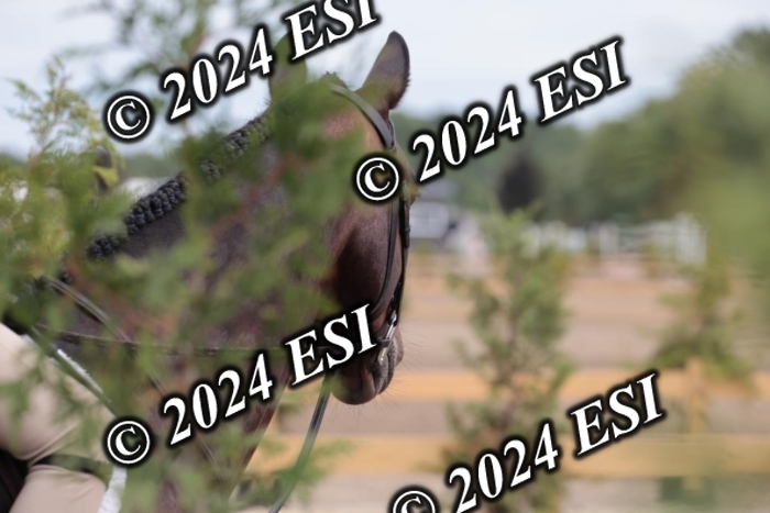 628SC1_3811