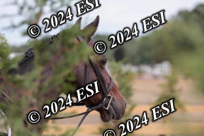 628SC1_3814