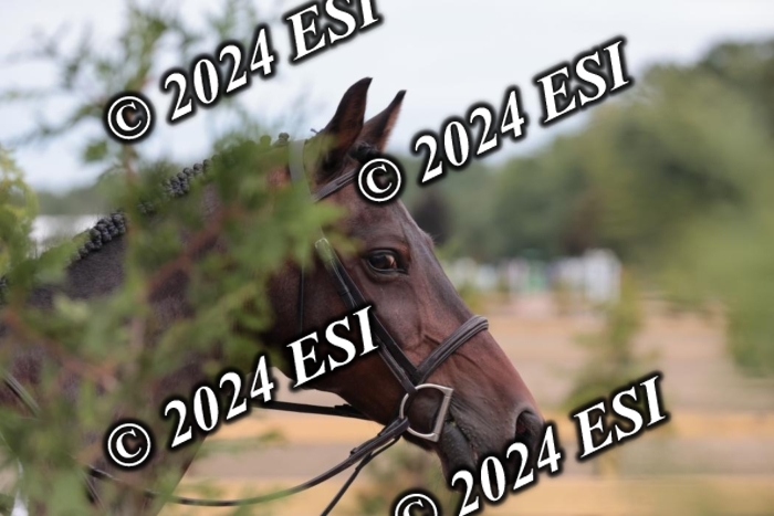 628SC1_3817