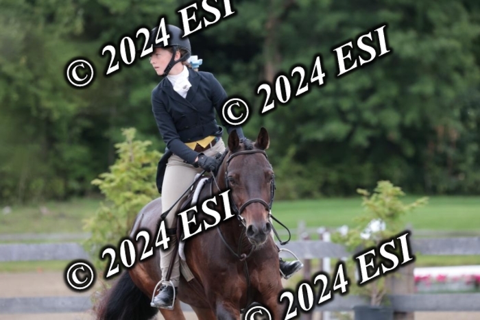 628SC1_3843