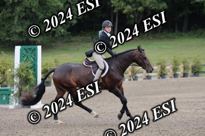 628SC1_3848