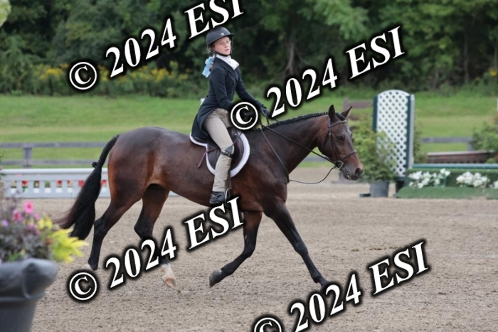 628SC1_3852