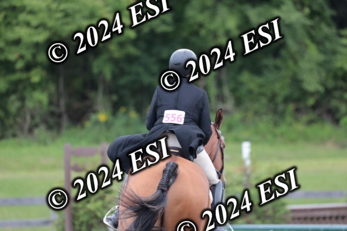 628SC1_3862