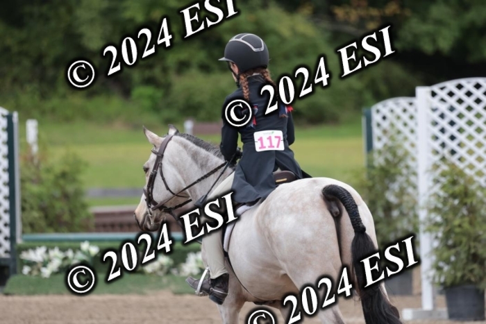 628SC1_3872