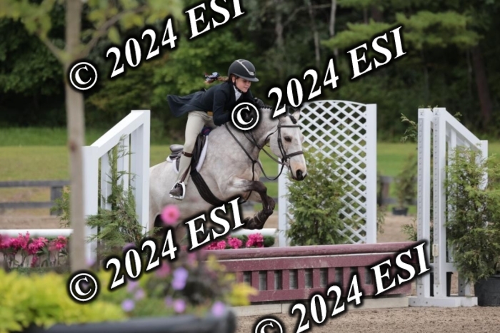 628SC1_3882