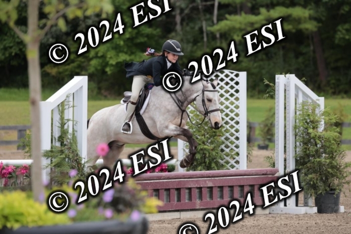 628SC1_3883
