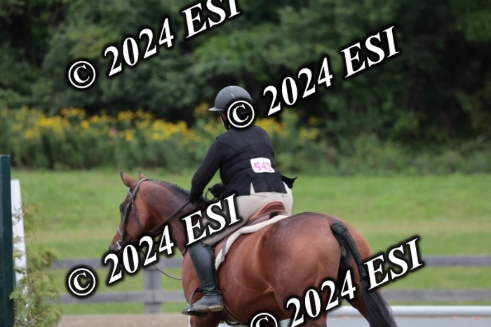 628SC1_3889