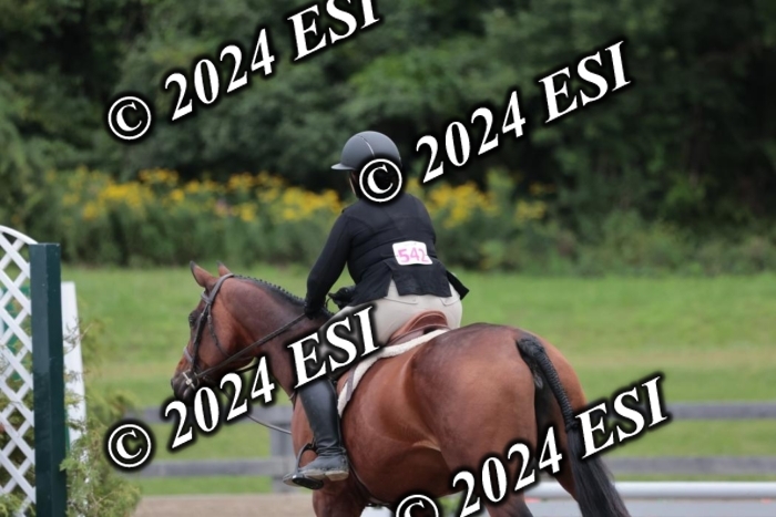 628SC1_3890