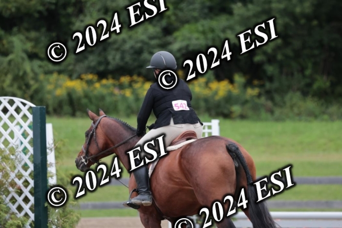 628SC1_3891