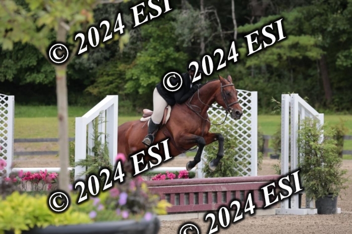 628SC1_3899