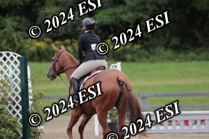 628SC1_3909