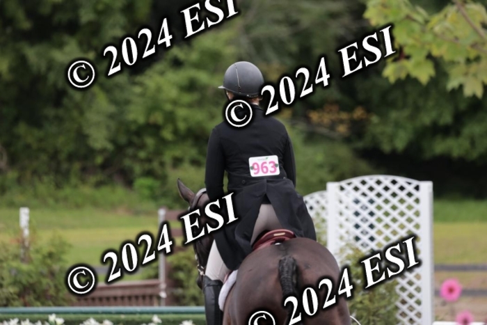 628SC1_3917