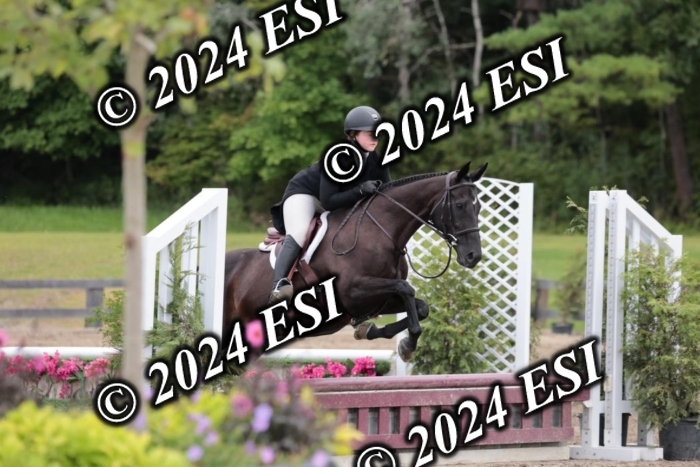628SC1_3923