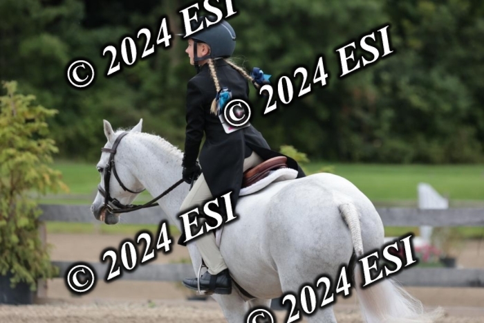 628SC1_3931