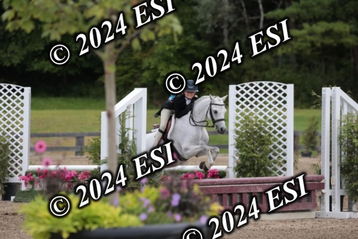 628SC1_3948