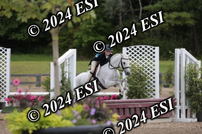 628SC1_3949