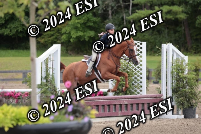 628SC1_3967
