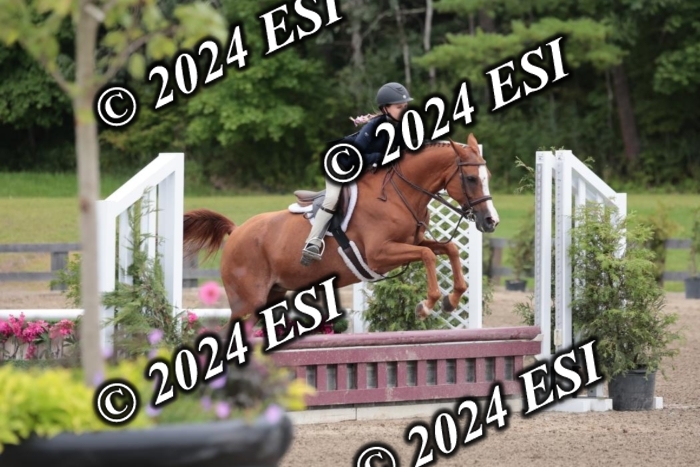 628SC1_3968