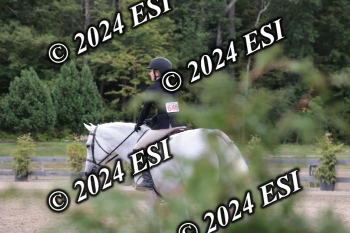 628SC1_3972