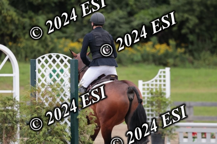 628SC1_3996