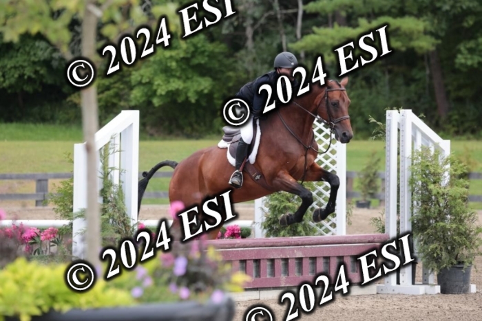 628SC1_4006