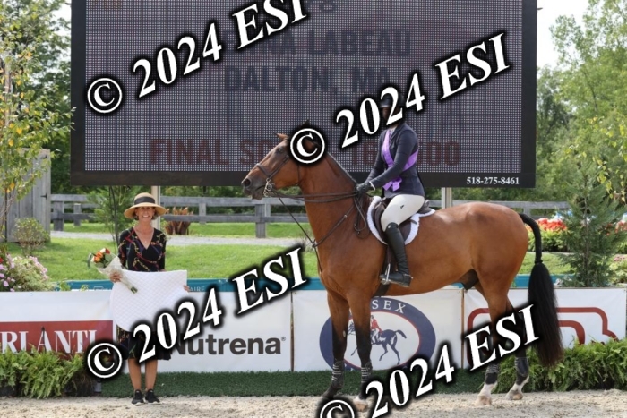 650GAB17596