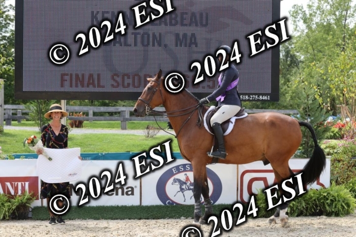 650GAB17601